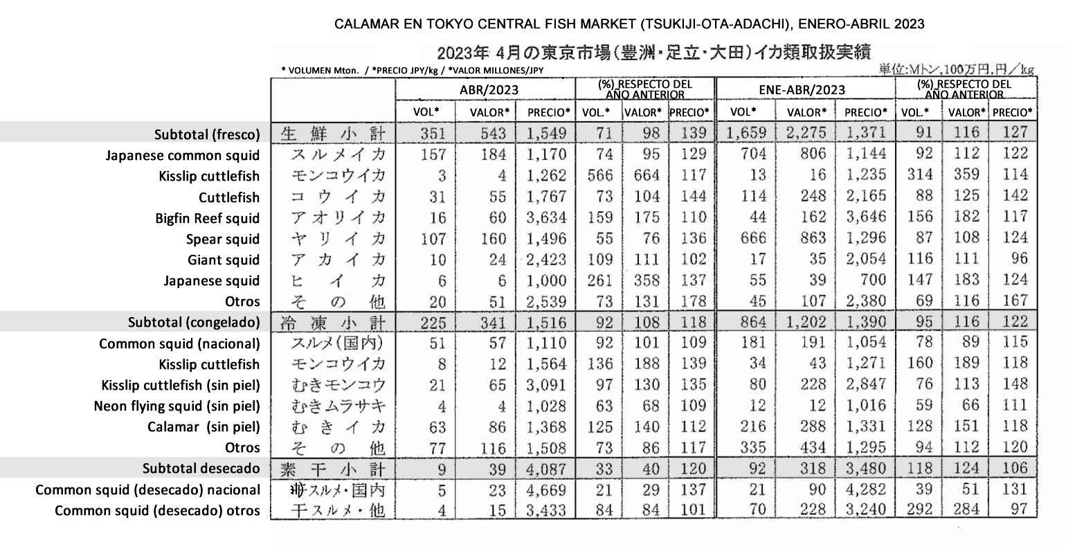 esp-Calamar en Tokyo Central Fish Market2 FIS seafood_media.jpg